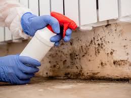 Best Mold Remediation for Rental Properties  in Guntown, MS